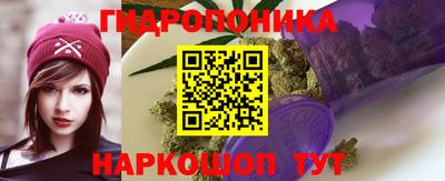 амф Новодвинск