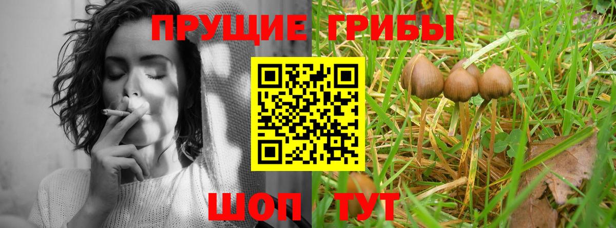 Псилоцибиновые грибы мицелий  Галлюциногенные грибы прущие грибы  Улан-Удэ  Вход с VPN 