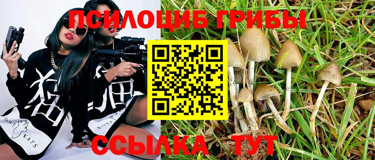 Псилоцибиновые грибы GOLDEN TEACHER Улан-Удэ